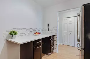 1103 S Hunt Club Dr, Mount Prospect, IL 60056 - Photo 11