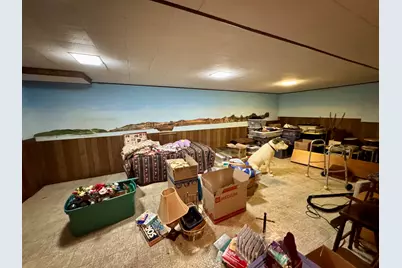 113 W 3rd Street, Wyanet, IL 61379 - Photo 21