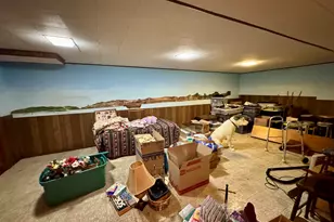 113 W 3rd St, Wyanet, IL 61379 - Photo 21