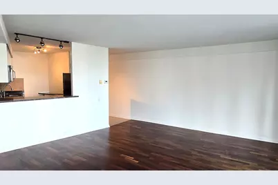 300 N State Street #4710, Chicago, IL 60654 - Photo 3