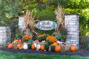 9513 Mels Way, Union, IL 60180 - Photo 1