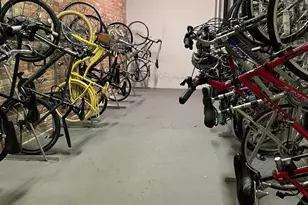 1631 S Michigan Ave, Chicago, IL 60616 - Photo 17