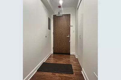 2 E Erie Street #1614, Chicago, IL 60611 - Photo 11