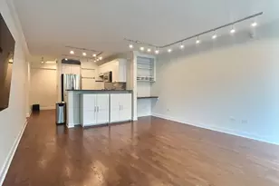 2 E Erie St, Chicago, IL 60611 - Photo 3