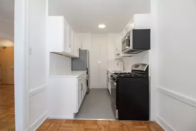 1100 N Dearborn Street #1211, Chicago, IL 60610 - Photo 3