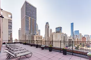 1100 N Dearborn St, Chicago, IL 60610 - Photo 15