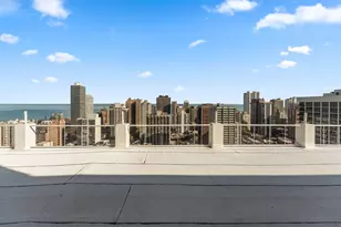 1455 N Sandburg Terrace, Chicago, IL 60610 - Photo 17