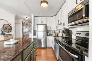 1455 N Sandburg Terrace, Chicago, IL 60610 - Photo 7