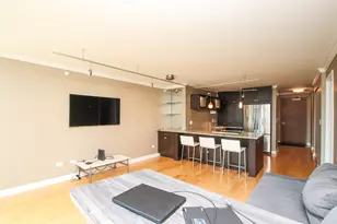 2 E Erie St, Chicago, IL 60611 - Photo 9