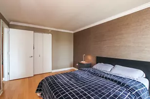 2 E Erie St, Chicago, IL 60611 - Photo 11