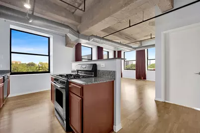 1550 S Blue Island Avenue #403, Chicago, IL 60608 - Photo 9