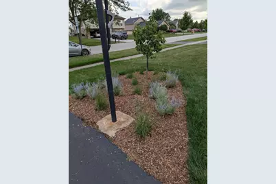 7458 W Wishing Well Drive, Frankfort, IL 60423 - Photo 51