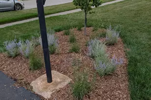 7458 W Wishing Well Dr, Frankfort, IL 60423 - Photo 51