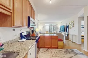 1250 S Indiana Ave, Chicago, IL 60605 - Photo 13