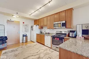 1250 S Indiana Ave, Chicago, IL 60605 - Photo 9