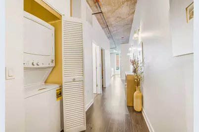 50 E 16th Street #403, Chicago, IL 60616 - Photo 11