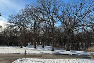 807 Elm Ave, Geneva, IL 60134 - Photo 21