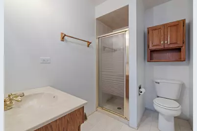 16345 Brementowne Drive, Tinley Park, IL 60477 - Photo 11