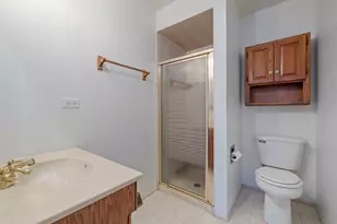 16345 Brementowne Dr, Tinley Park, IL 60477 - Photo 11