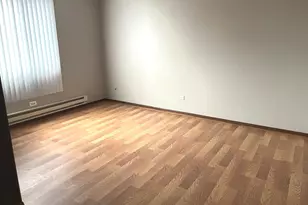 22405 Thomas Dr, Richton Park, IL 60471 - Photo 3