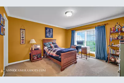 3N651 James Fenimore Cooper Lane, Saint Charles, IL 60175 - Photo 29