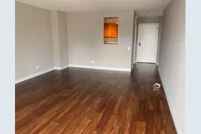 100 W Chestnut Street #3008, Chicago, IL 60610 - Photo 5