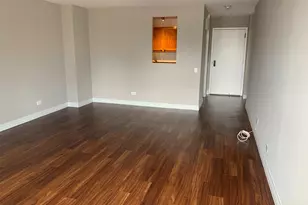 100 W Chestnut St, Chicago, IL 60610 - Photo 5