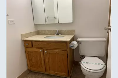 100 W Chestnut Street #3008, Chicago, IL 60610 - Photo 7