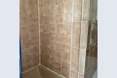 [Address not provided], Chicago, IL 60649 - Photo 13