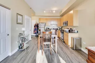 1464 S Michigan Ave, Chicago, IL 60605 - Photo 9