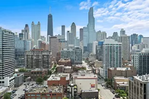 808 N Cleveland Ave, Chicago, IL 60610 - Photo 29