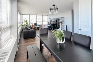 4800 S Chicago Beach Dr, Chicago, IL 60615 - Photo 9