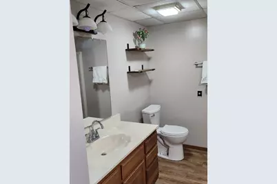 1-80 Farragut Lane, Lake Carroll, IL 61046 - Photo 23