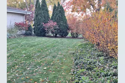 209 Herbert Street, Downers Grove, IL 60515 - Photo 31