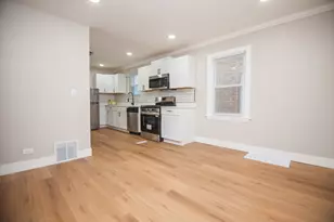 1156 W 102nd St, Chicago, IL 60643 - Photo 21