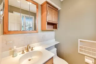 601 E Hackberry Ln, Mount Prospect, IL 60056 - Photo 17