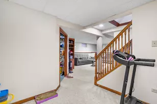 7712 Sequoia Ct, Orland Park, IL 60462 - Photo 21