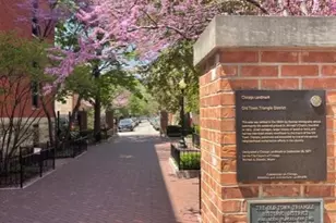 1824 N Lincoln Park W, Chicago, IL 60614 - Photo 23