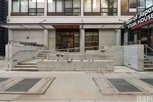 230 E Ontario St, Chicago, IL 60611 - Photo 3