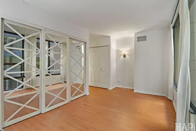 230 E Ontario Street #905, Chicago, IL 60611 - Photo 11