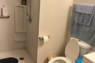 1424 Woodlawn Ave, Ford Heights, IL 60411 - Photo 5