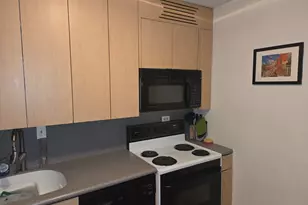 340 W Diversey Pkwy, Chicago, IL 60657 - Photo 3