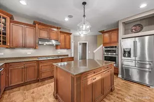 7 Birchwood Ct, Lake in the Hills, IL 60156 - Photo 35