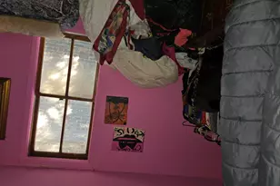 8414 S Buffalo Ave, Chicago, IL 60617 - Photo 3