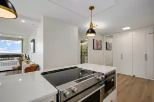 1355 N Sandburg Terrace, Chicago, IL 60610 - Photo 15