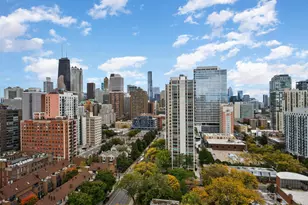 1355 N Sandburg Terrace, Chicago, IL 60610 - Photo 13