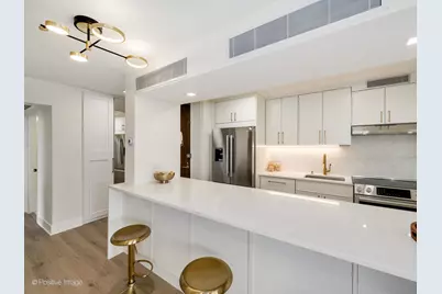 1310 N Ritchie Court #27B, Chicago, IL 60610 - Photo 3