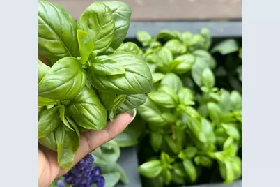 129 Cornwall Drive, Crete, IL 60417 - Photo 29