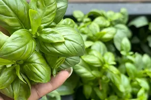 129 Cornwall Dr, Crete, IL 60417 - Photo 29