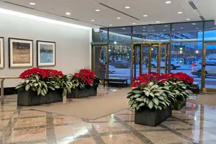 480 N McClurg Ct, Chicago, IL 60611 - Photo 3